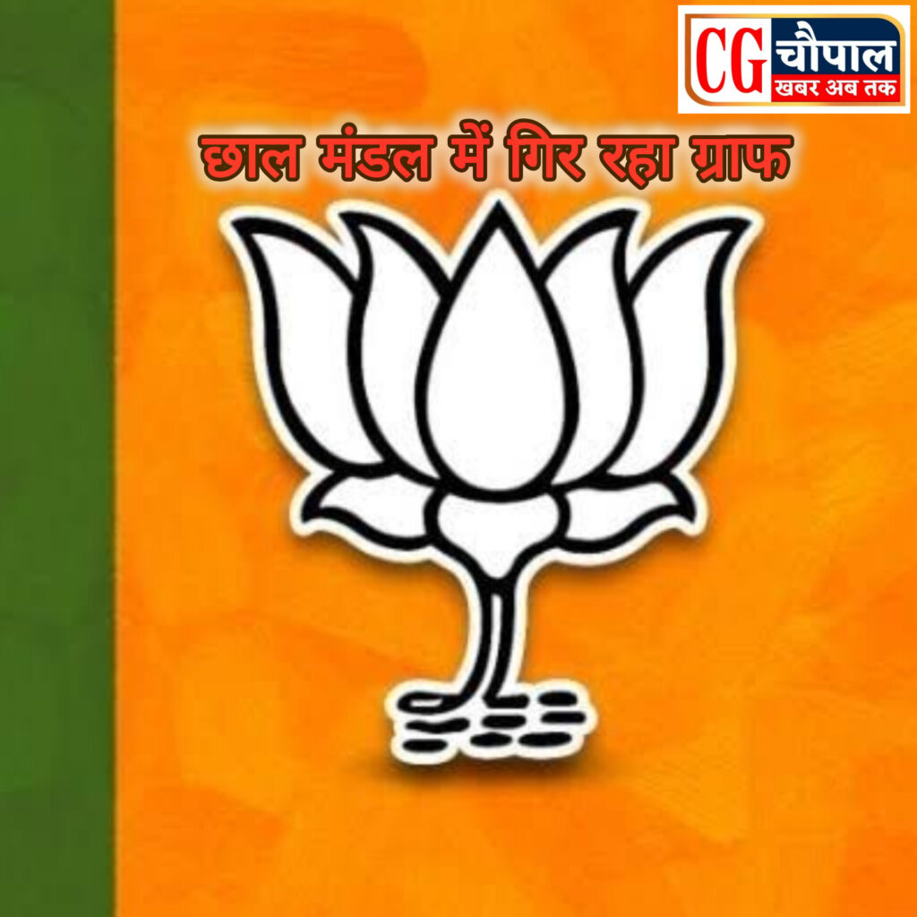 कार्यक्रम आईना :- बीजेपी का छाल मंडल में लगातार गिर रहा ग्राफ 2 InShot 20250501 233740735 1