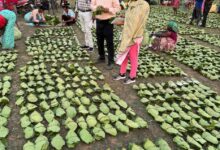 IMG 20250618 WA0039