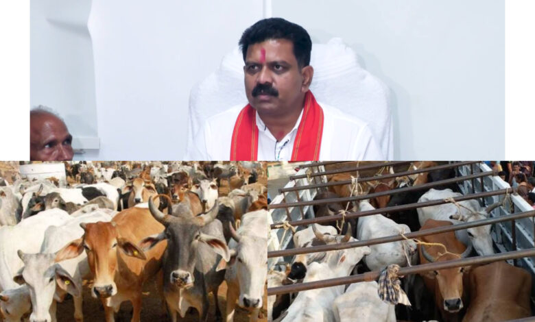 छत्तीसगढ़ सरकार का बड़ा फैसला, गौ तस्करों की संपति होगी नीलाम 1 InShot 20250605 183757245