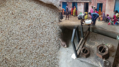 InShot 20250622 191009531