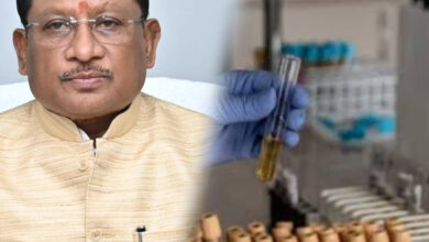 InShot 20250703 191321665