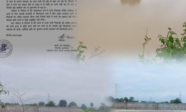 InShot 20250710 111243446