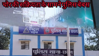 InShot 20250806 233155692