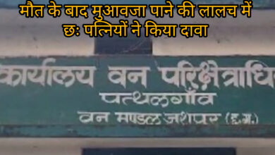 InShot 20250819 093648884