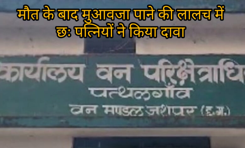 InShot 20250819 093648884