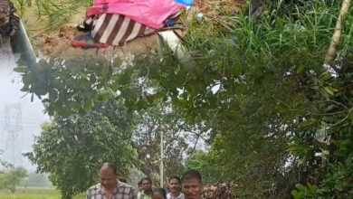 InShot 20250824 115738455