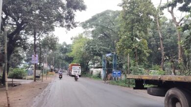 IMG 20250915 10271323