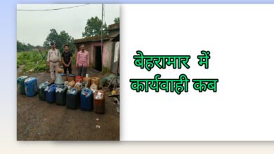 InShot 20251007 234717339