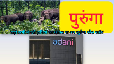 InShot 20251011 094705288