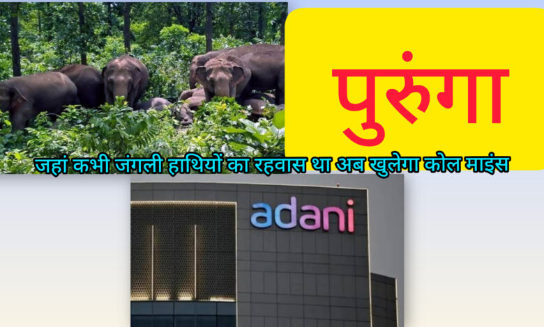 InShot 20251011 094705288