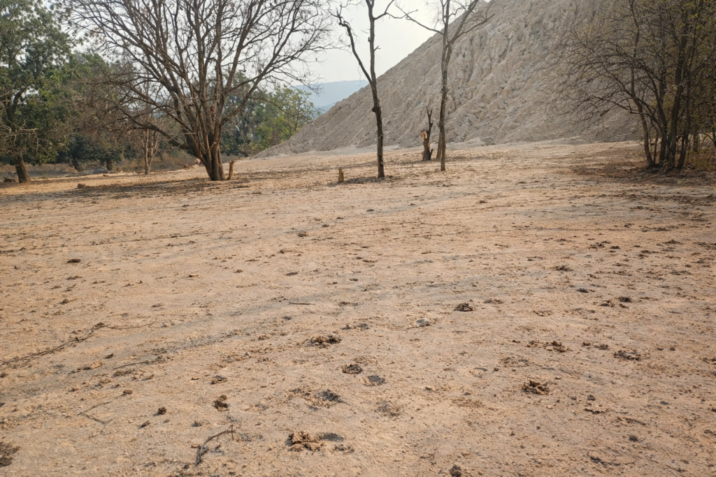 9f6fce57 fb69 43f6 8dbc 05deb8a079b7