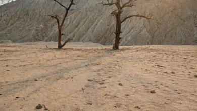 Barren landscape at dusk
