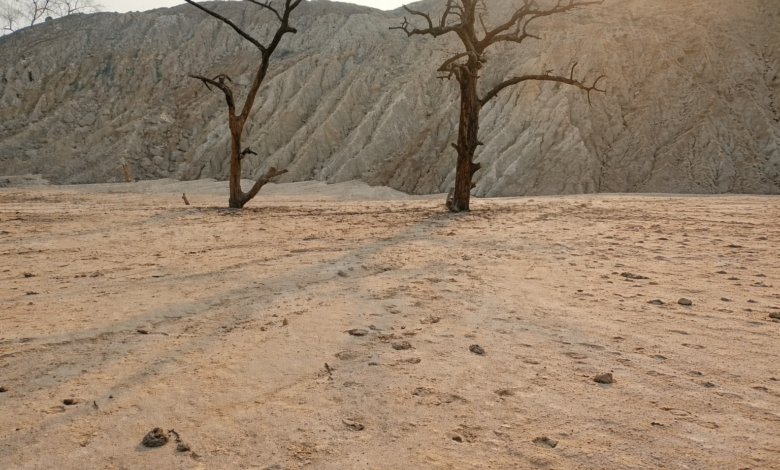 Barren landscape at dusk