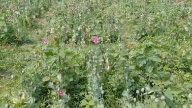 IMG 20260320 13095966