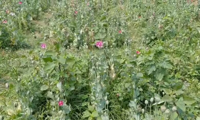 IMG 20260320 13095966