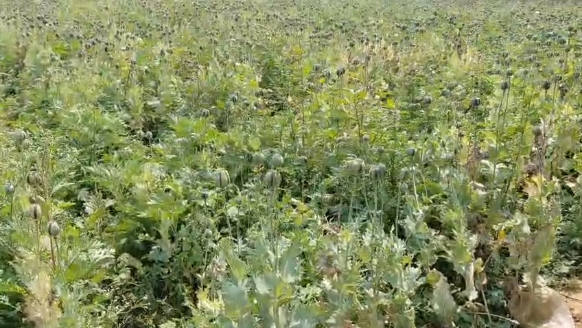 IMG 20260320 13100523