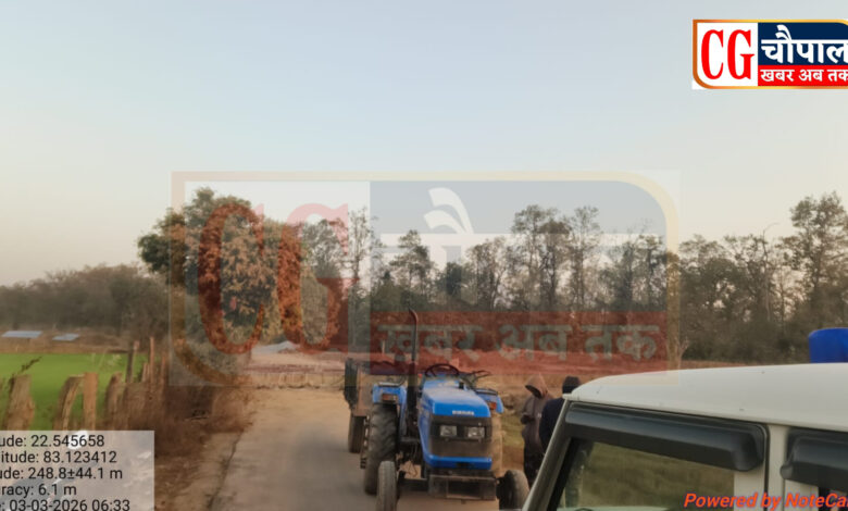 InShot 20260303 070612486