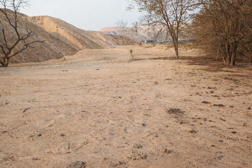 c9907574 971b 4f18 8744 76b196b18212